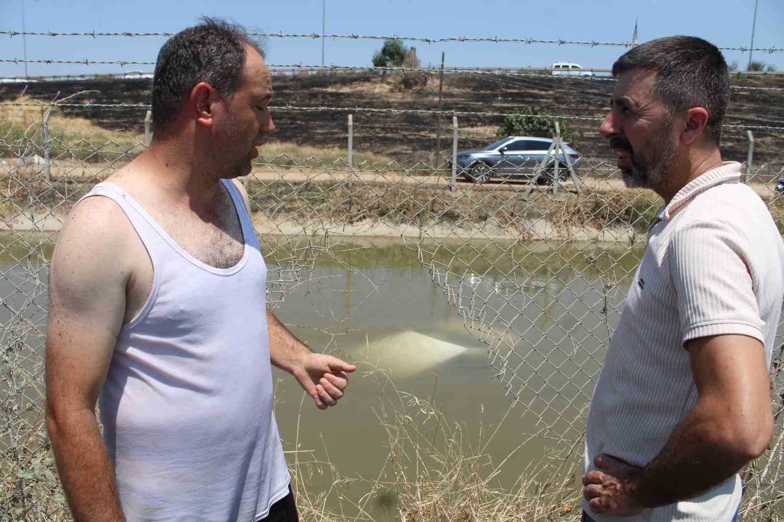 aydinin pelerinsiz kahramani anne ve cocuklarini kurtardi 0 fg4wTW62