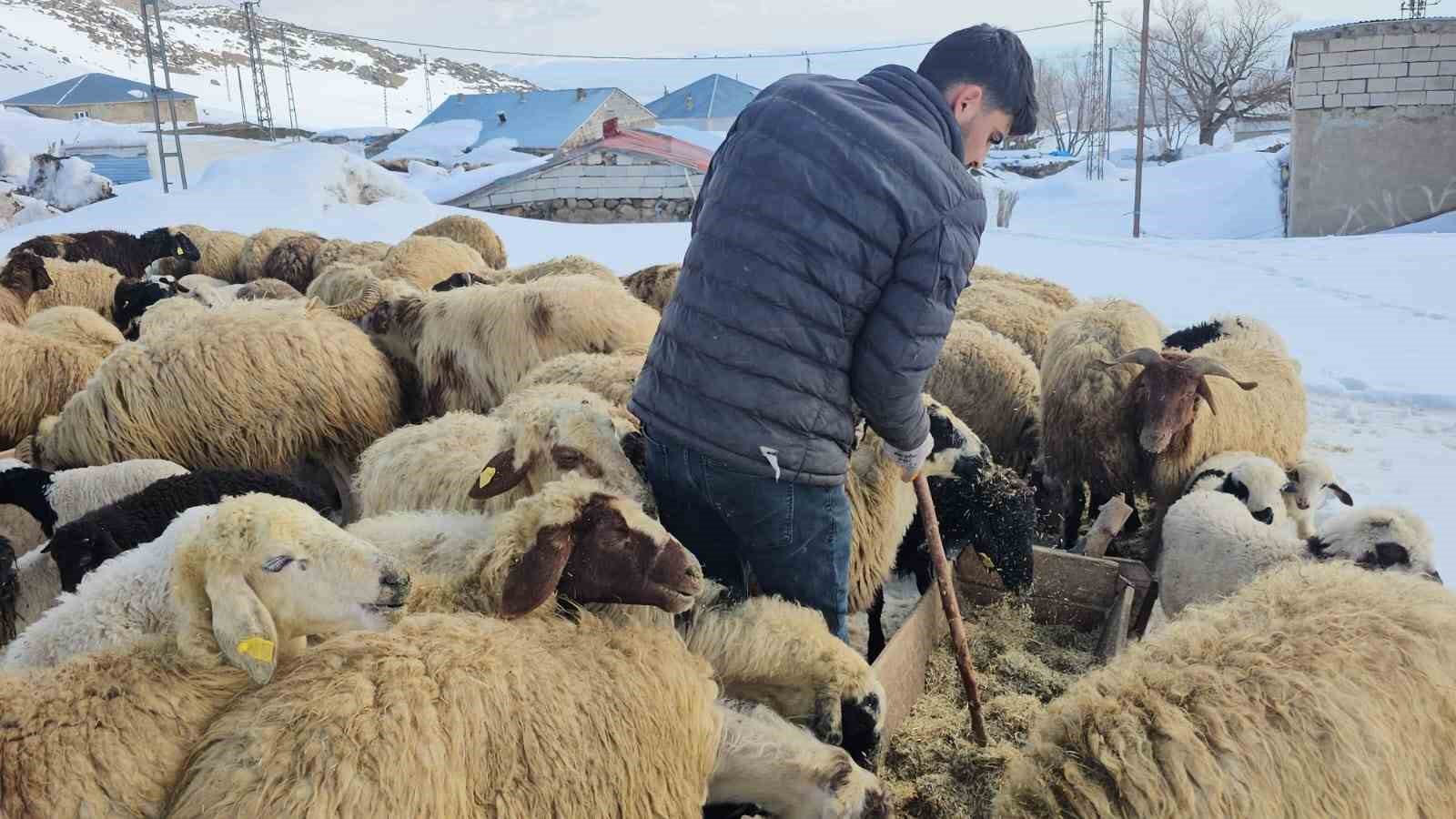 aydinlar beldesinde iki mevsim bir arada yasaniyor 1