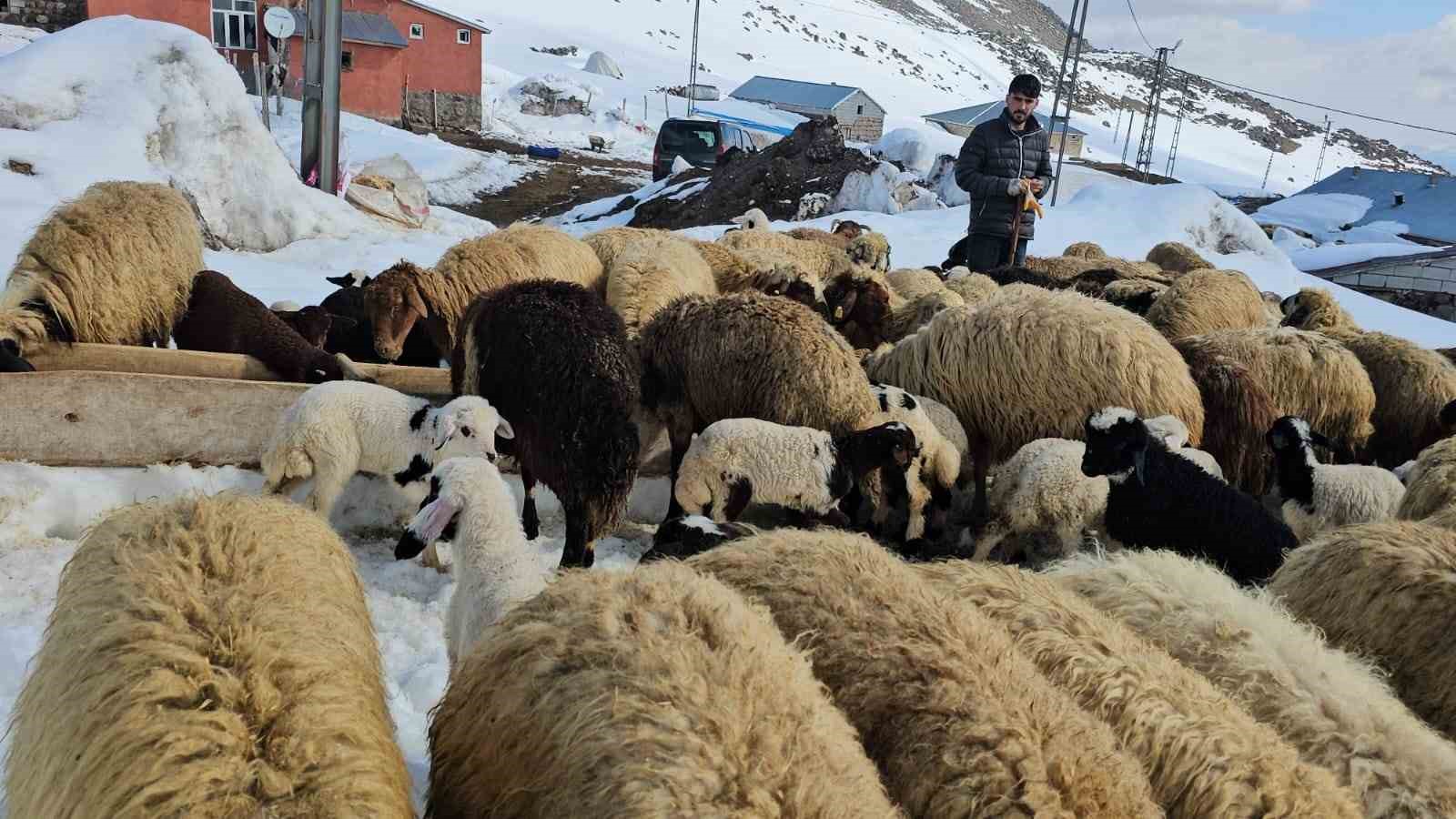 aydinlar beldesinde iki mevsim bir arada yasaniyor 2 sZZhXMY8