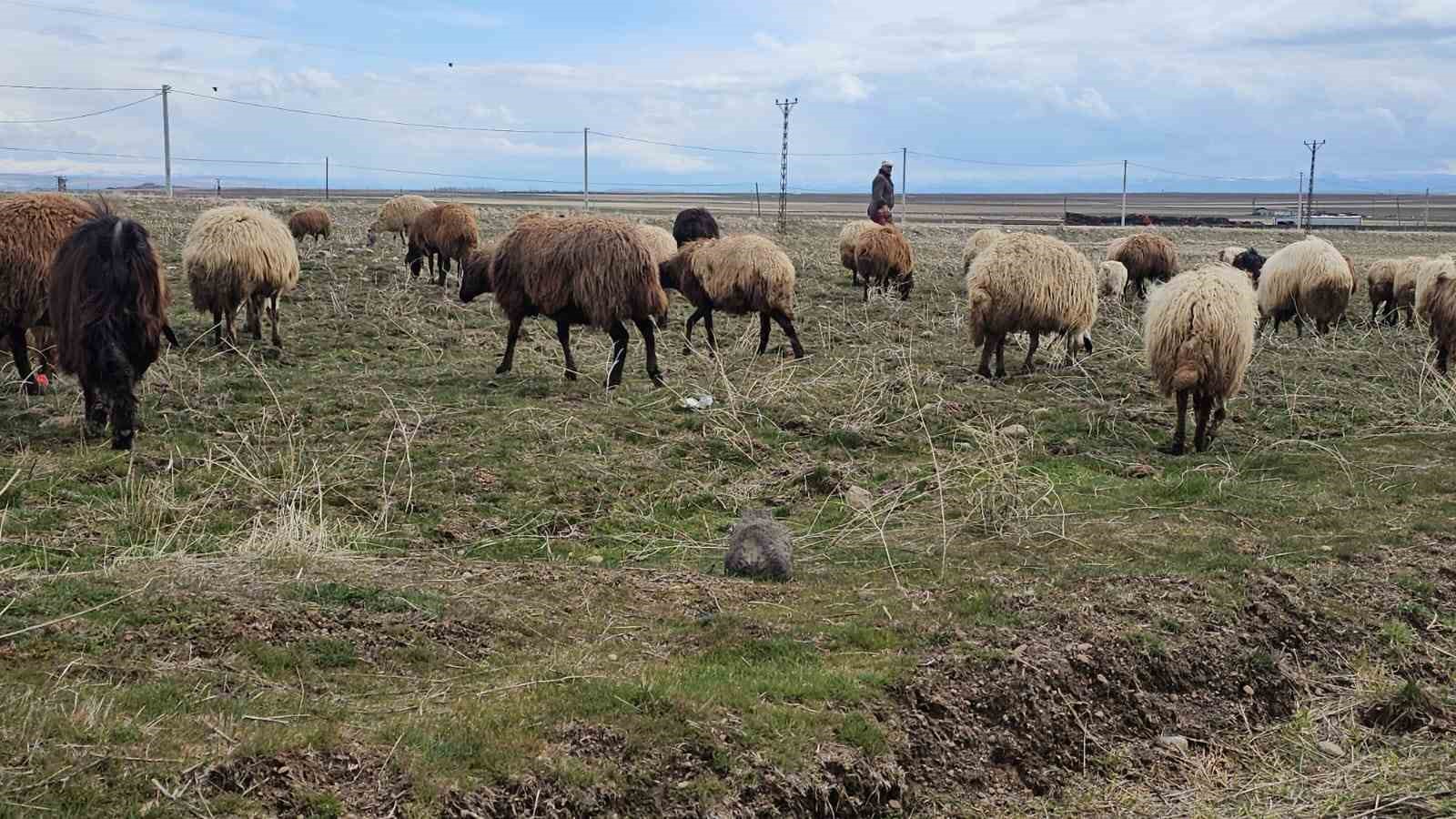 aydinlar beldesinde iki mevsim bir arada yasaniyor 6 HSChdTv7
