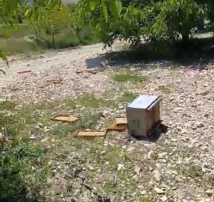 Ayı, arı kovanlarına zarar verdi 5 ayi ari kovanlarina zarar verdi 1 V5FLnUSD