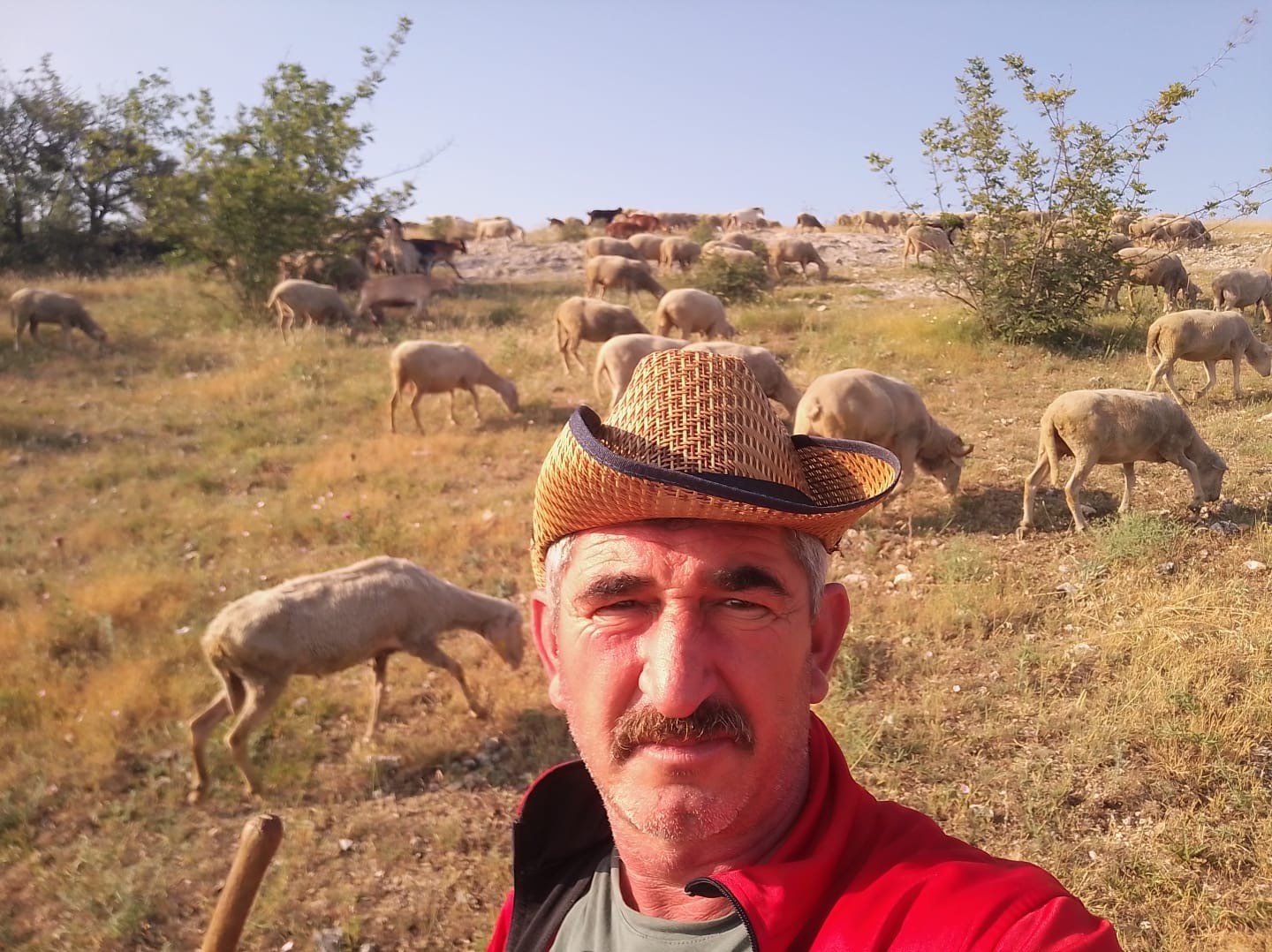 aylik 50 bin liraya coban bulamiyorlar 1 an8mbYcH