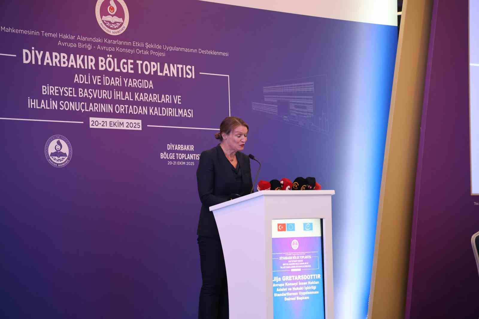 aymye 13 yilda 702 bin bireysel basvuru yapildi 5 rjNAqzcM
