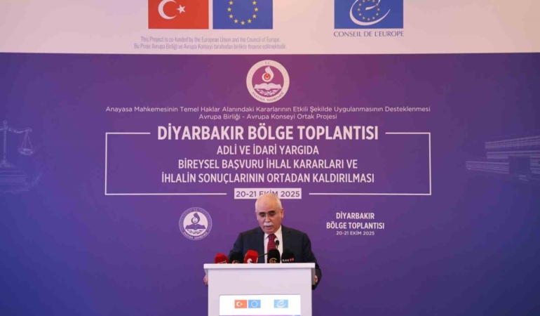 aymye-13-yilda-702-bin-bireysel-basvuru-yapildi-GQS3SFYB.jpg