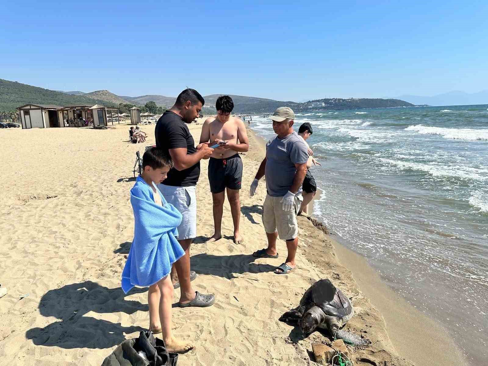 Aynı bölgede ikinci vaka: Deniz kaplumbağasının ayağına taş bağladılar 7 ayni bolgede ikinci vaka deniz kaplumbagasinin ayagina tas bagladilar 3 DfYPfAkt