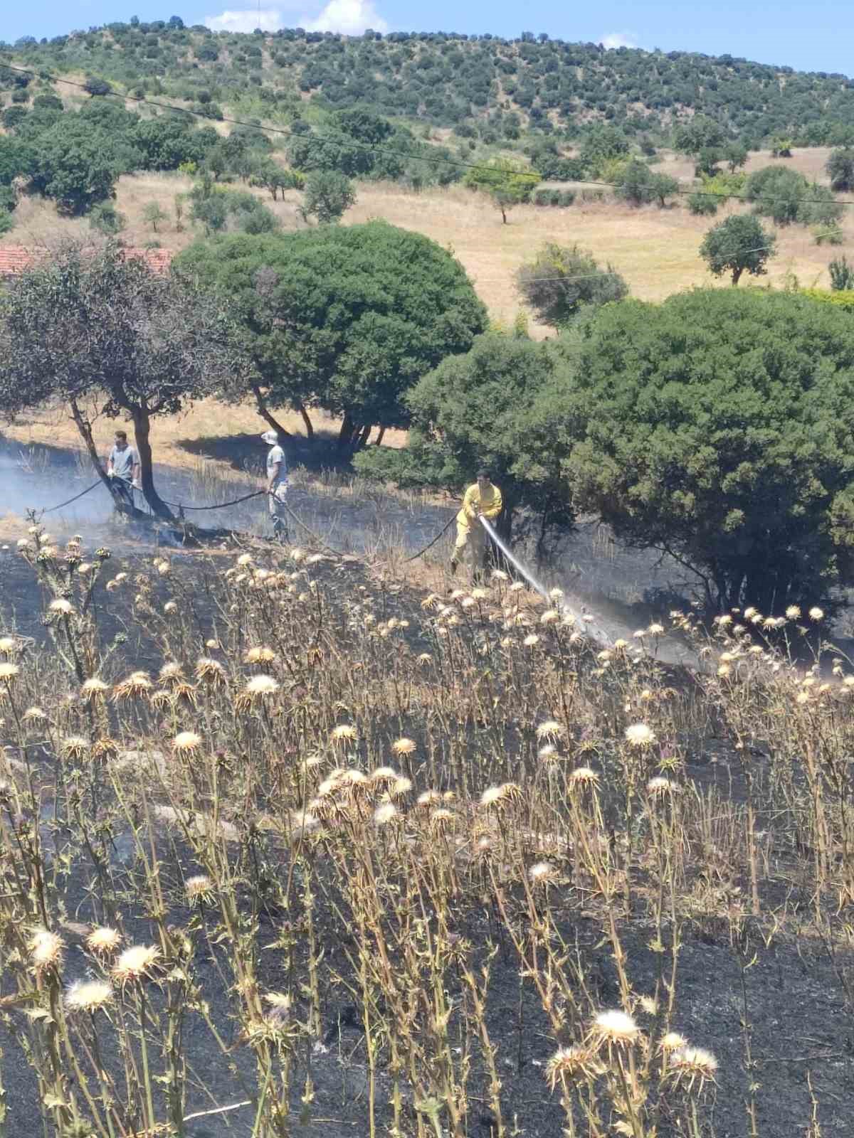 ayvacikta bir evin bahcesinde cikan yangin buyumeden sonduruldu 4 NuEgDLfe
