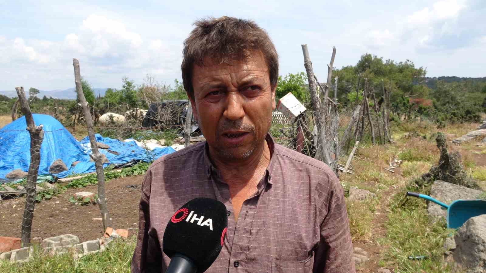 ayvacikta ciftciler basibos yilki atlarindan dertli 4 LnpNJT56