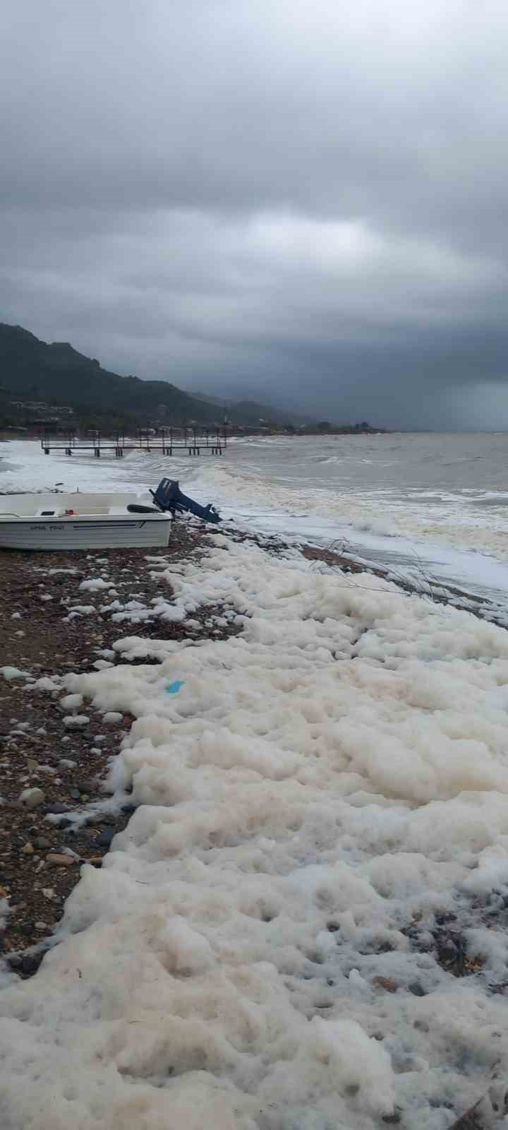 ayvacikta deniz kopurdu 0