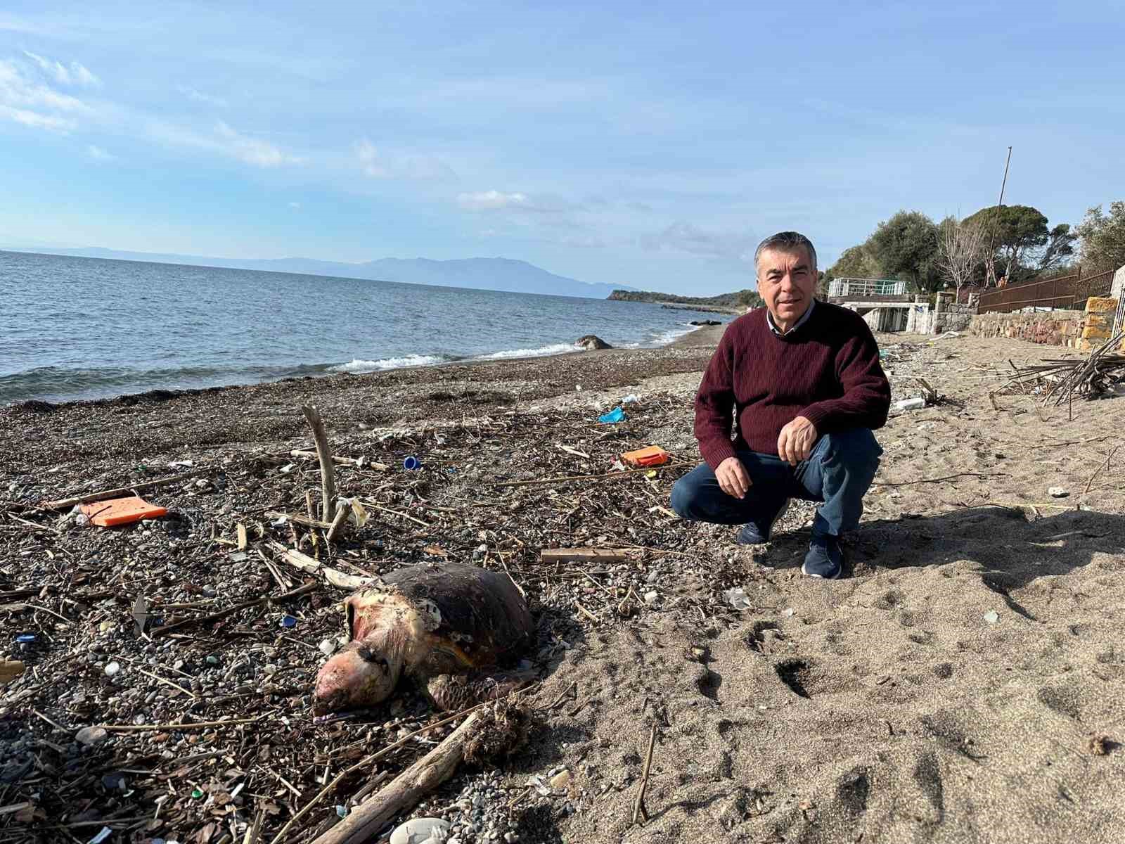 ayvacikta olu caretta caretta sahile vurdu 1 SWVtgFtL
