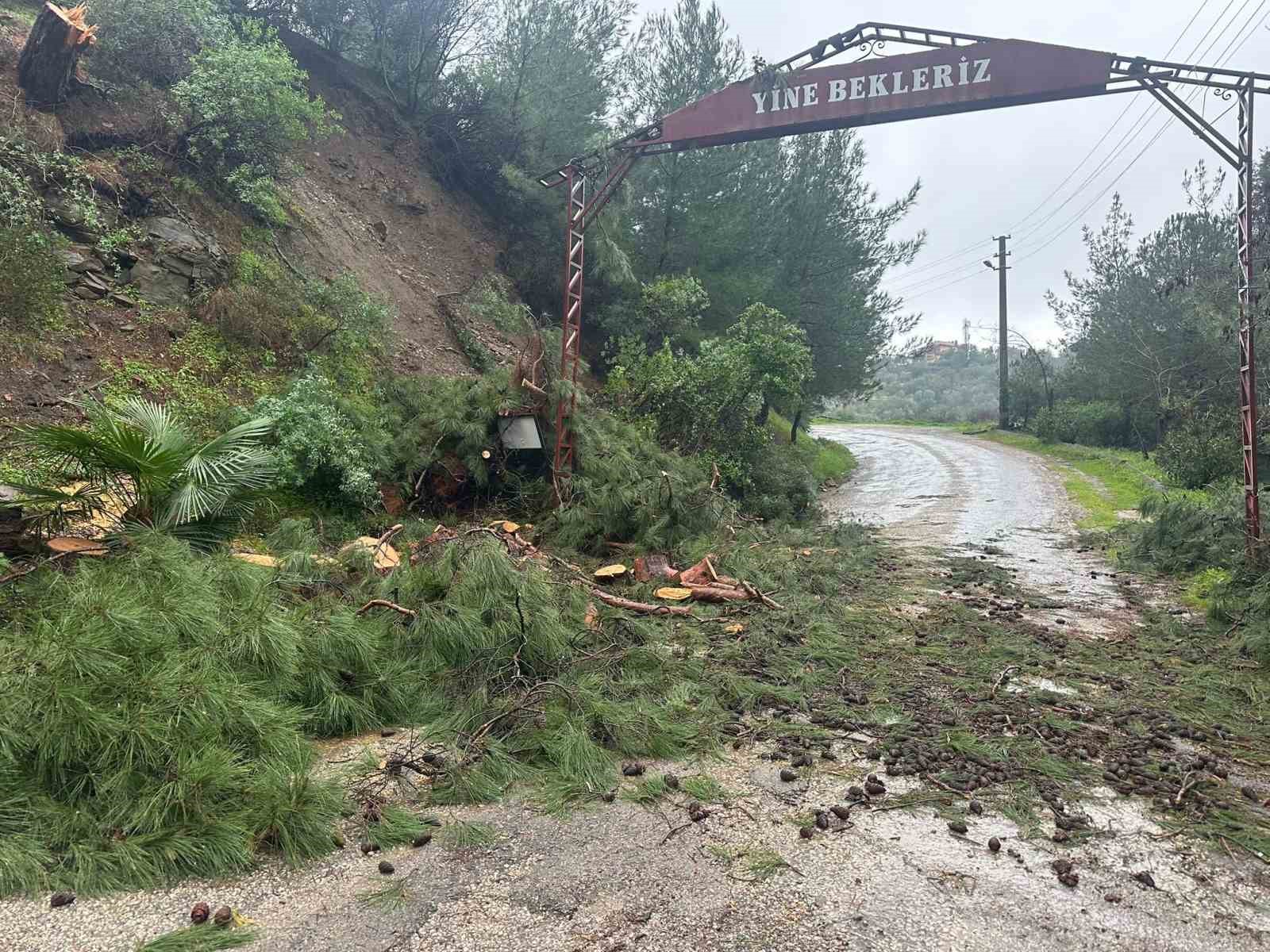 ayvacikta saganak yagis etkili oldu 15 KcvWCleP