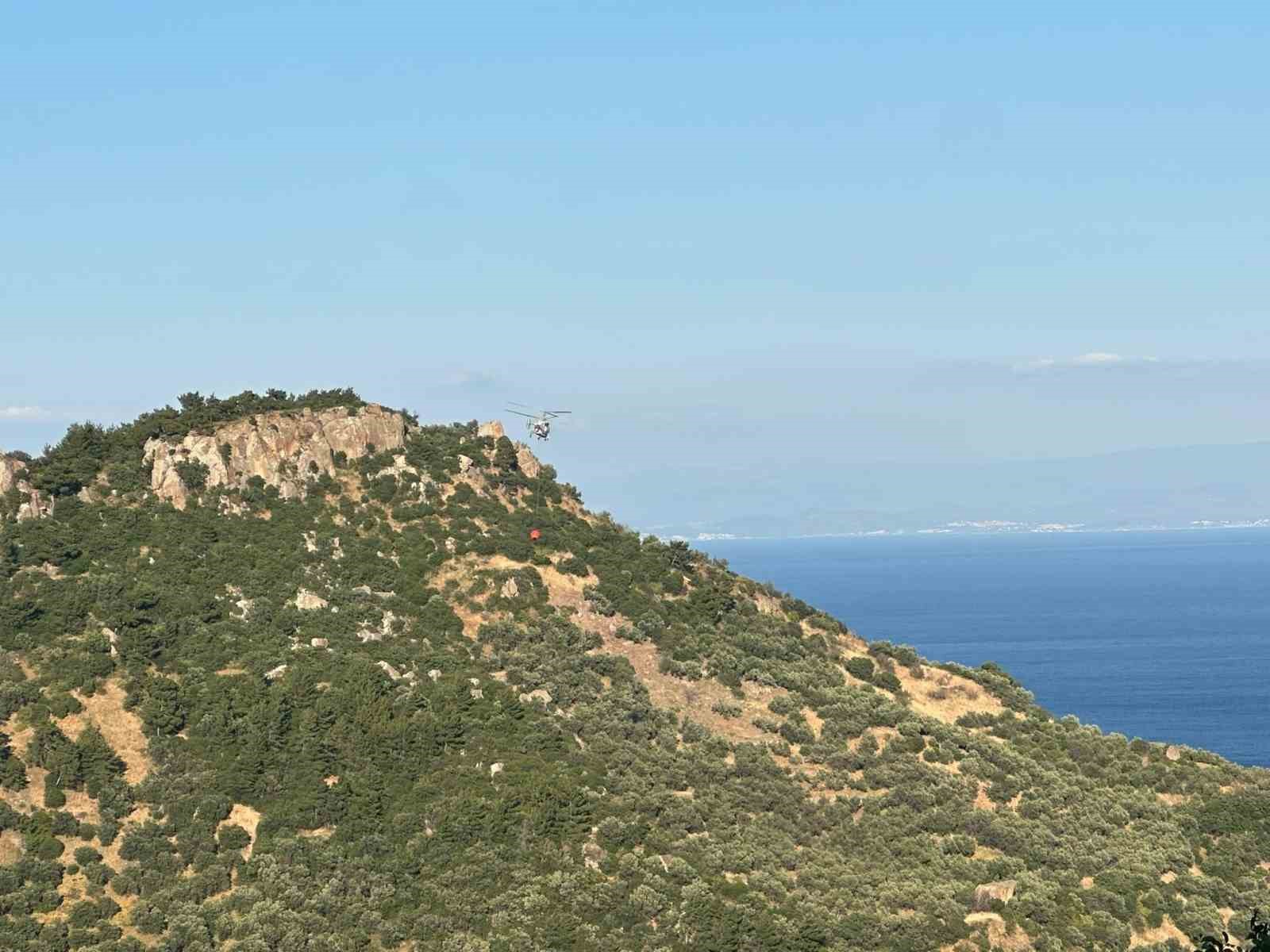 ayvacikta zeytinlik alanda cikan yangin kontrol altina alindi 2 8ncmuKuC