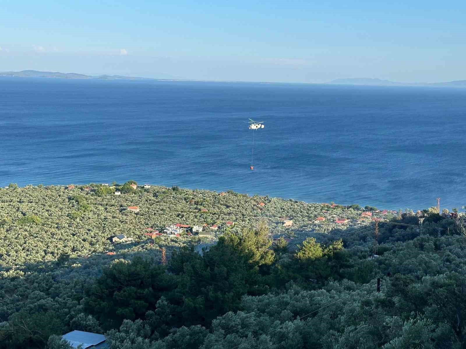 ayvacikta zeytinlik alanda cikan yangin kontrol altina alindi 3 wKyceADI