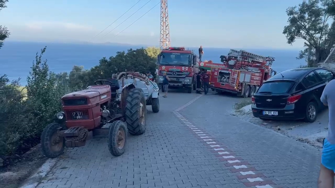 ayvacikta zeytinlik alanda cikan yangin kontrol altina alindi 4 1TIrkeAz