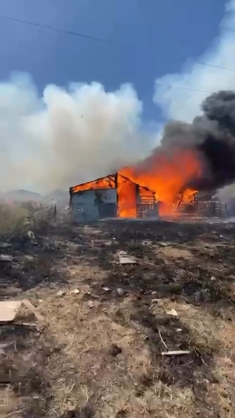 ayvalikta ahir yangini 2 52zVyaPH