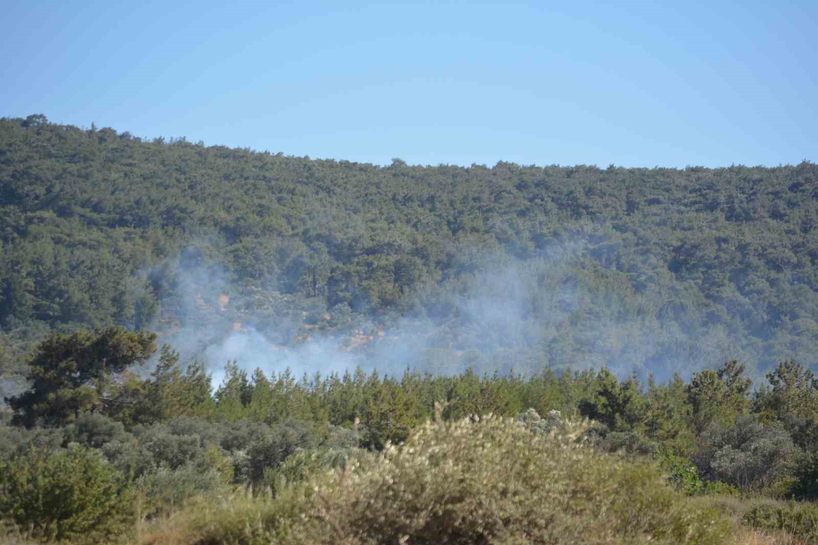 ayvalikta ciftlik yangini ormana sicradi 0 AryNL6ER