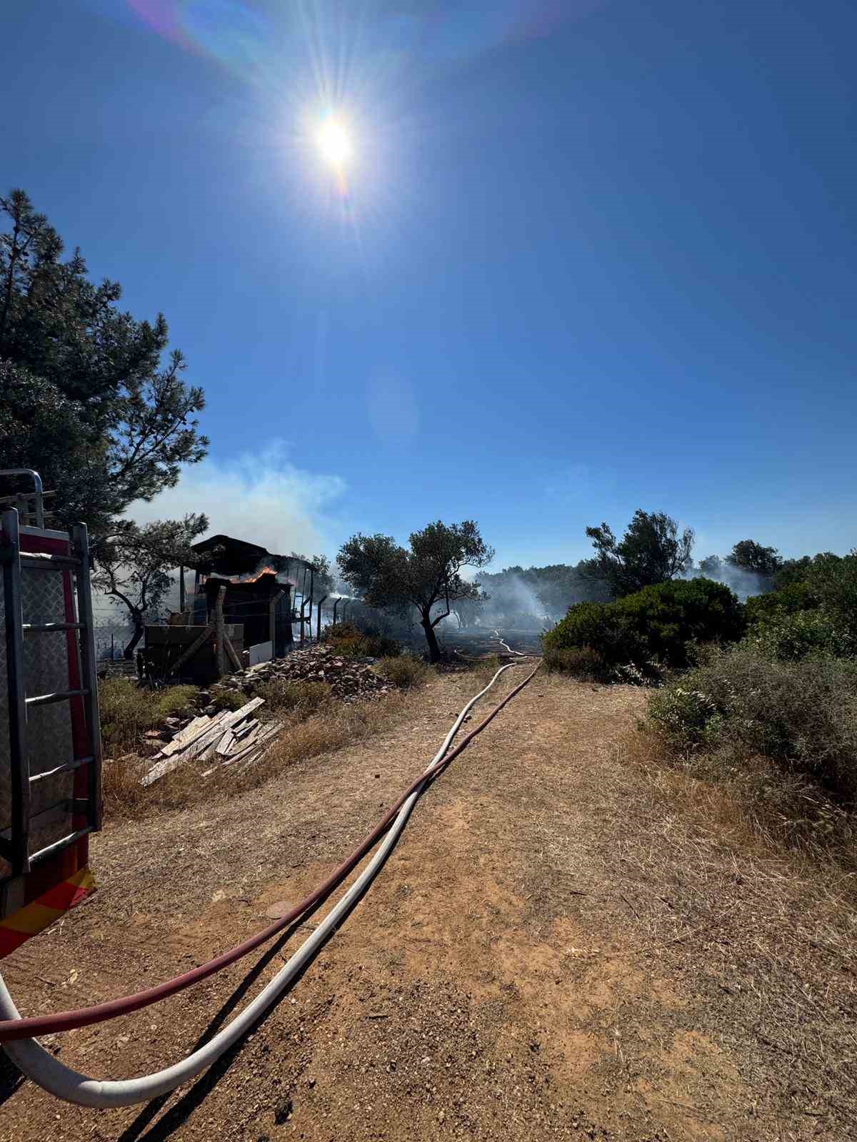 ayvalikta ciftlik yangini ormana sicradi 2 JSwBiwDT