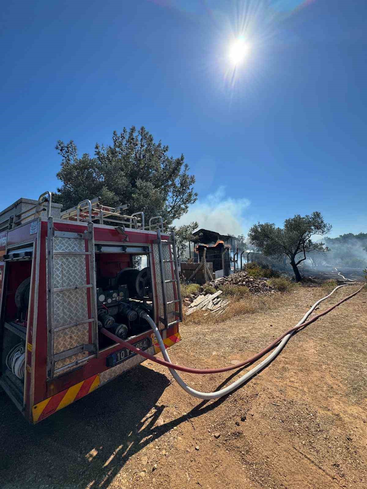 ayvalikta ciftlik yangini ormana sicradi 6 sEpaCfEw