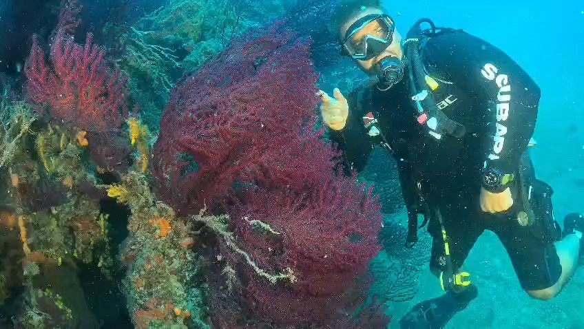 Ayvalık’ta dalış turizmine müjde 9 ayvalikta dalis turizmine mujde 5 uNB5tPQM