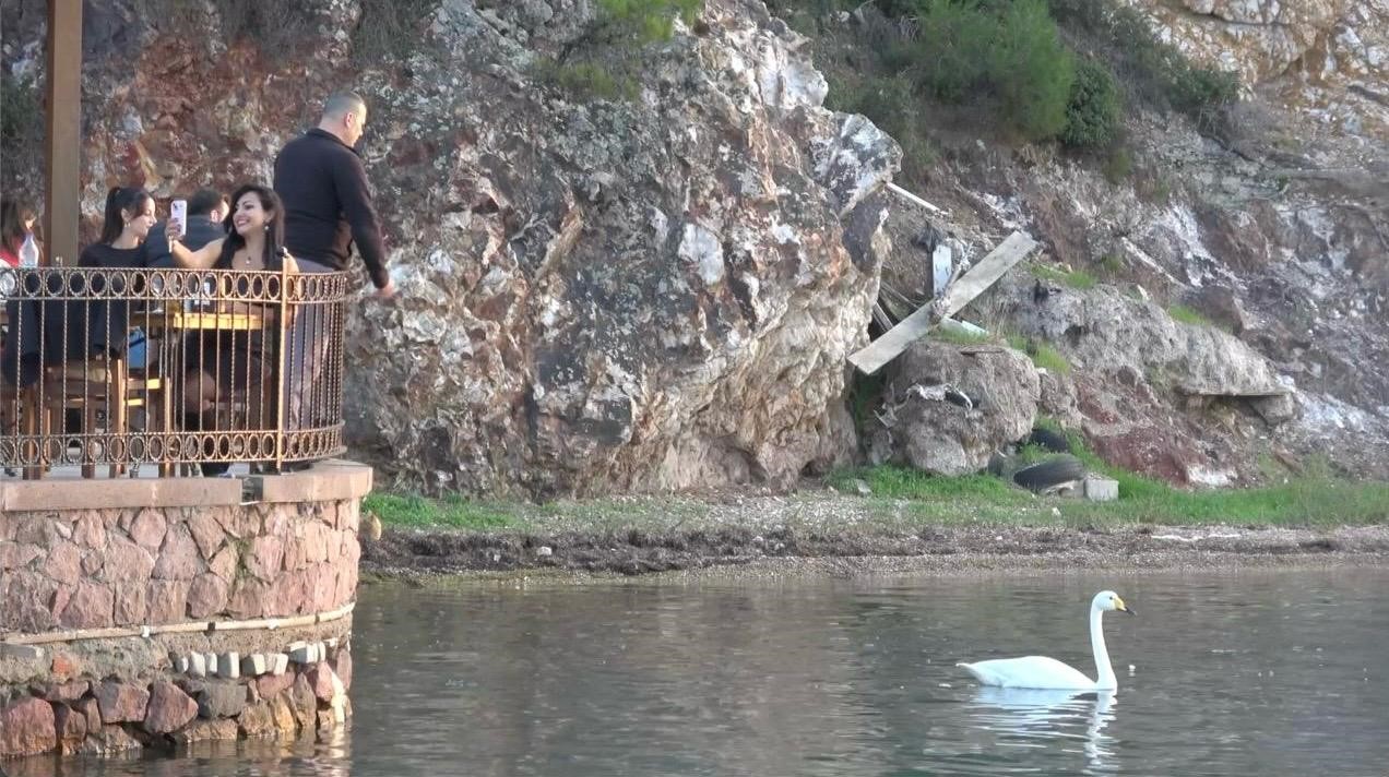 ayvalikta sevimli kugu pasa limaninin simgesi oldu 4 2rDkHPRI