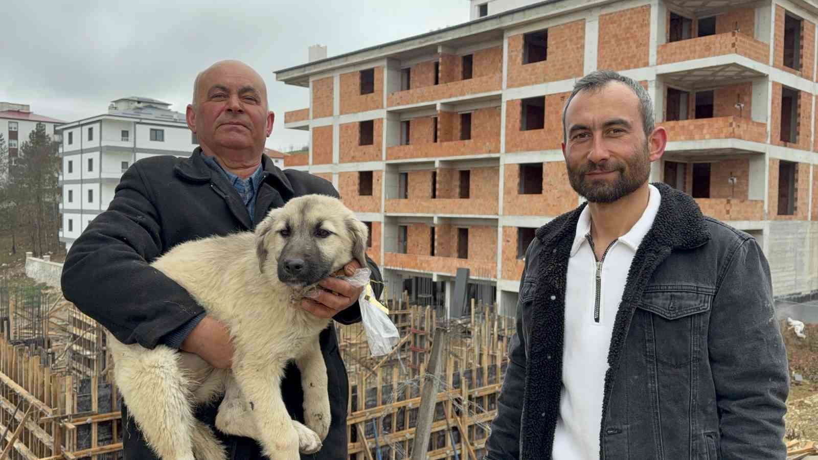 baba ogul catida olumun esigindeki yavru kopegi kurtardi 1 DlmIg8Uw