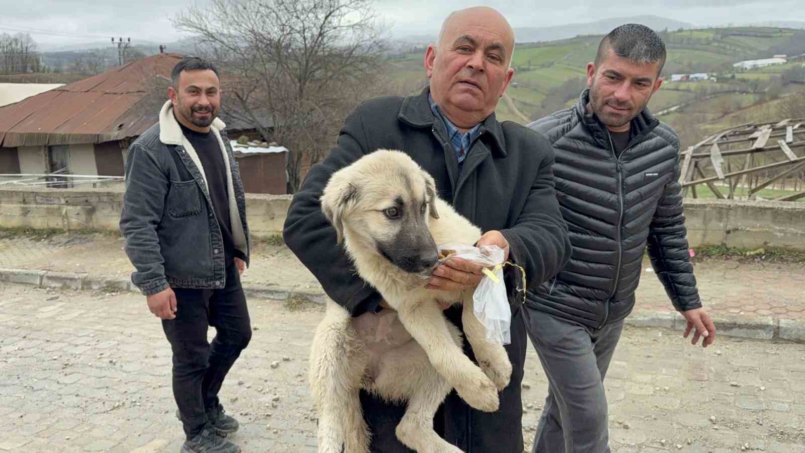 baba ogul catida olumun esigindeki yavru kopegi kurtardi 2 cKup6JS6