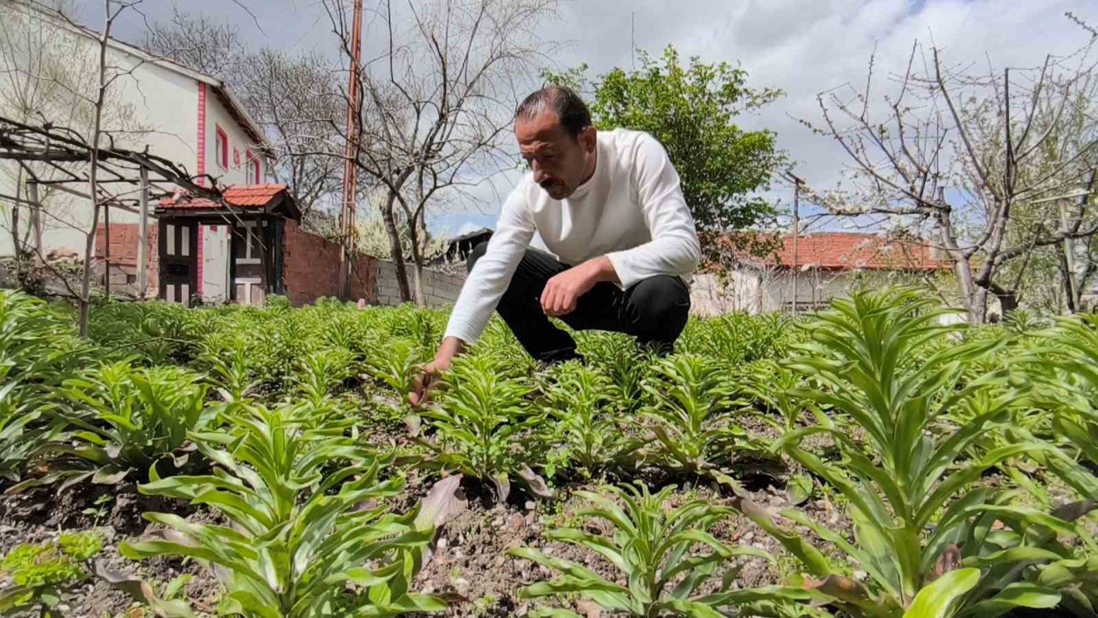 babasindan miras kalan akzambaklara gozu gibi bakiyor 2 XCTAvTw7