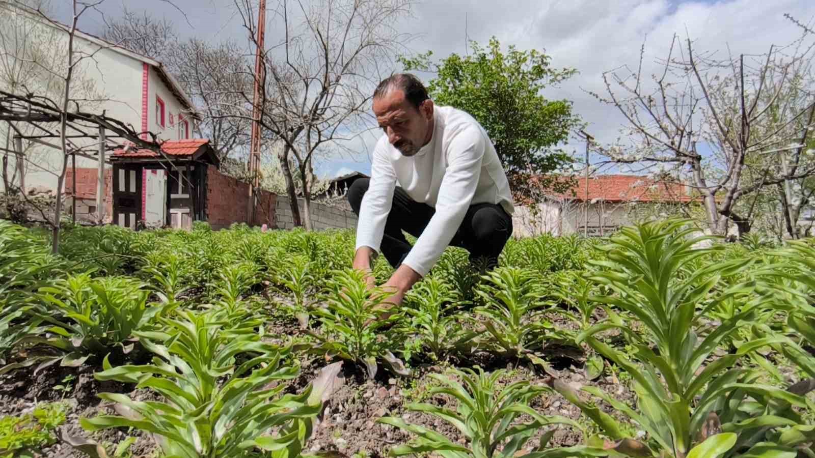 babasindan miras kalan akzambaklara gozu gibi bakiyor 5 RYeGtNrp