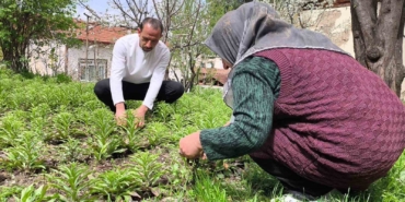 babasindan-miras-kalan-akzambaklara-gozu-gibi-bakiyor-vMOBgFQp.jpg