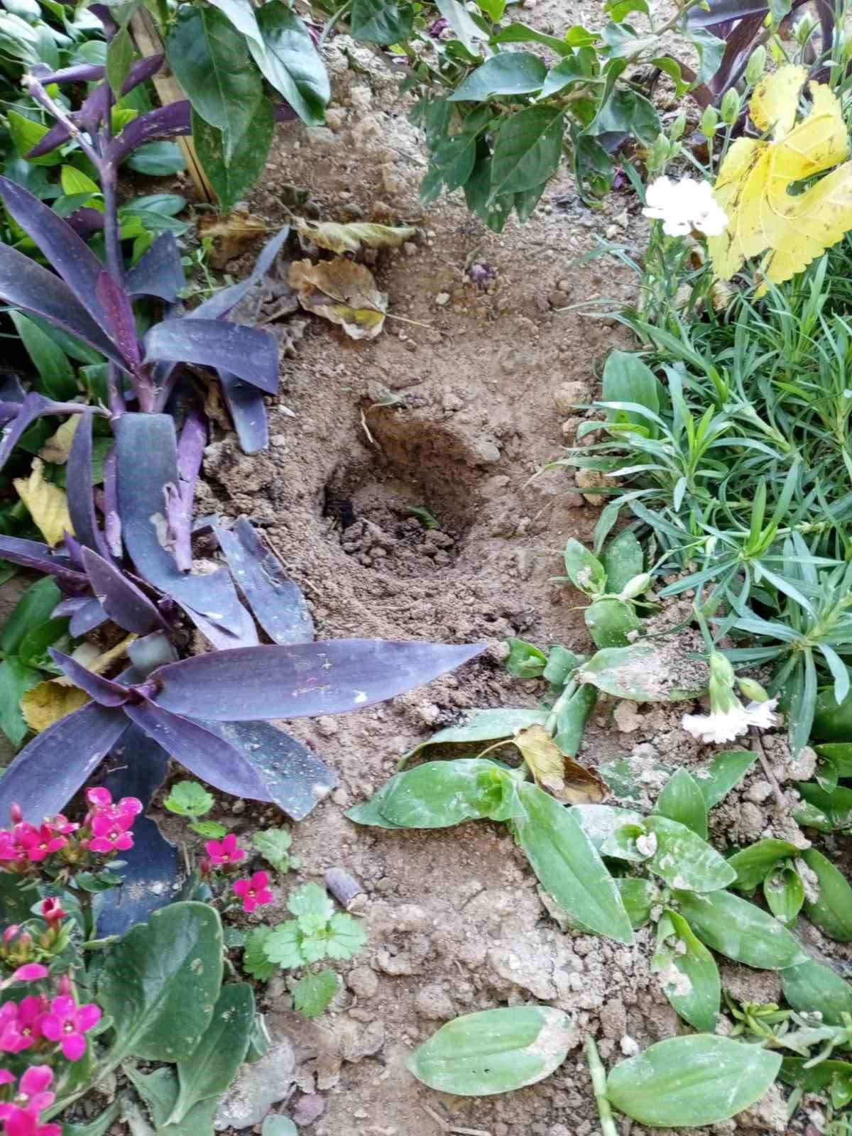 babasinin mezarindaki cicekleri sokup uyusturucu sakladilar 11 wyZNyuQO