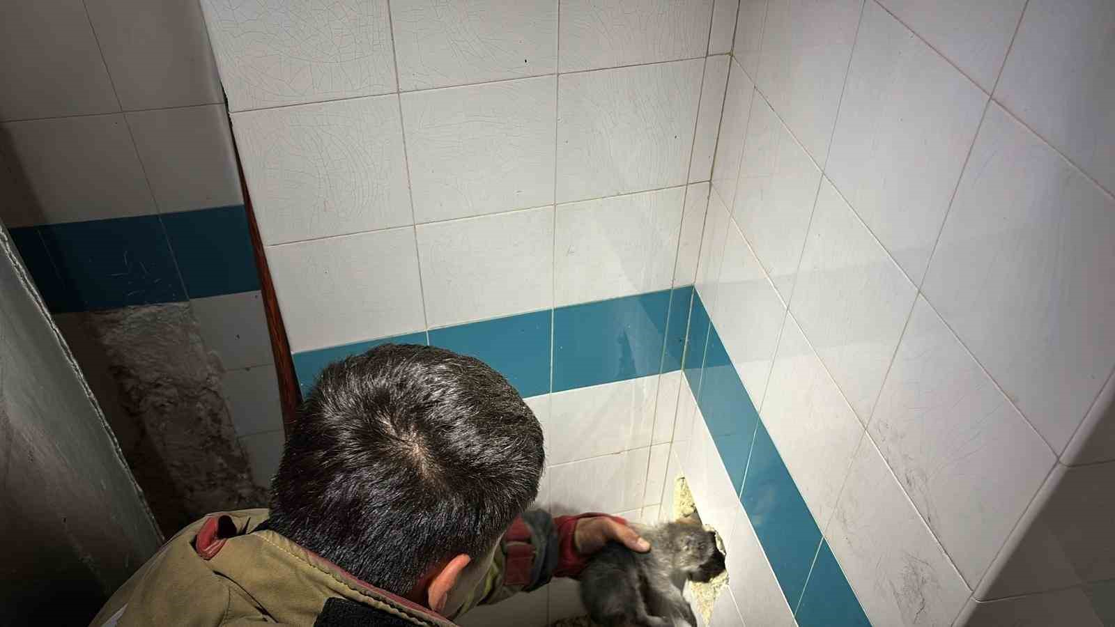 bacadan duserek mahsur kalan yavru kedi duvarin kirilmasiyla kurtarildi 1