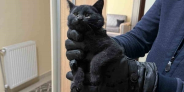 bacaya-giren-kedi-itfaiyenin-6-saatlik-operasyonuyla-kurtarildi-XJbMnBPk.jpg