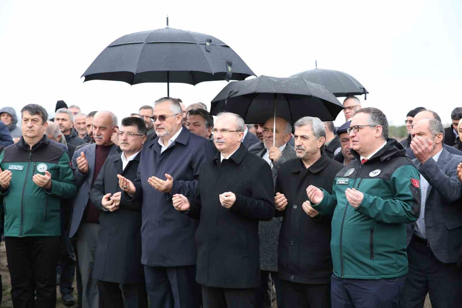 bafra ovasinda drenaj seferberligi basladi 3 CileBA1v