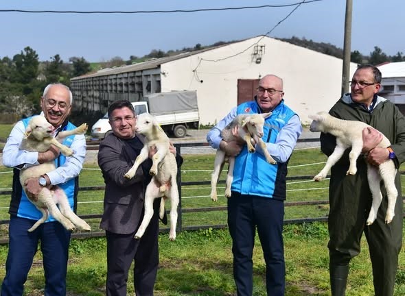 bahar geldi kuzular anneleri ile bulustu 4 acMXMLbY
