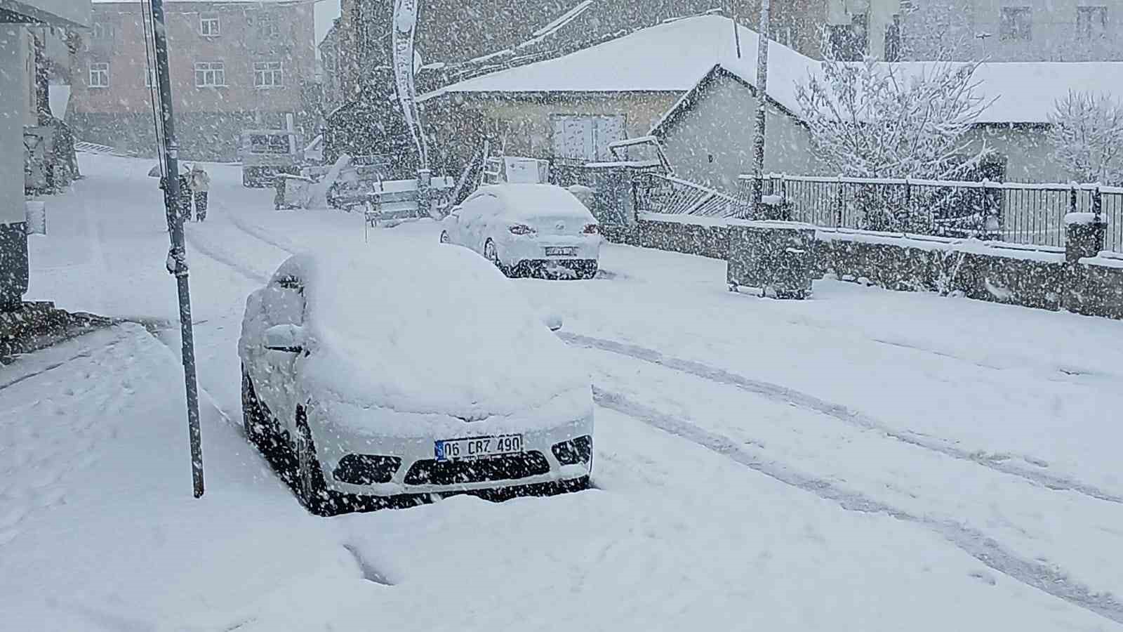 Baharı bekleyen Karlıova karlı bir güne uyandı 10 bahari bekleyen karliova karli bir gune uyandi 6 ua3Vt7lV
