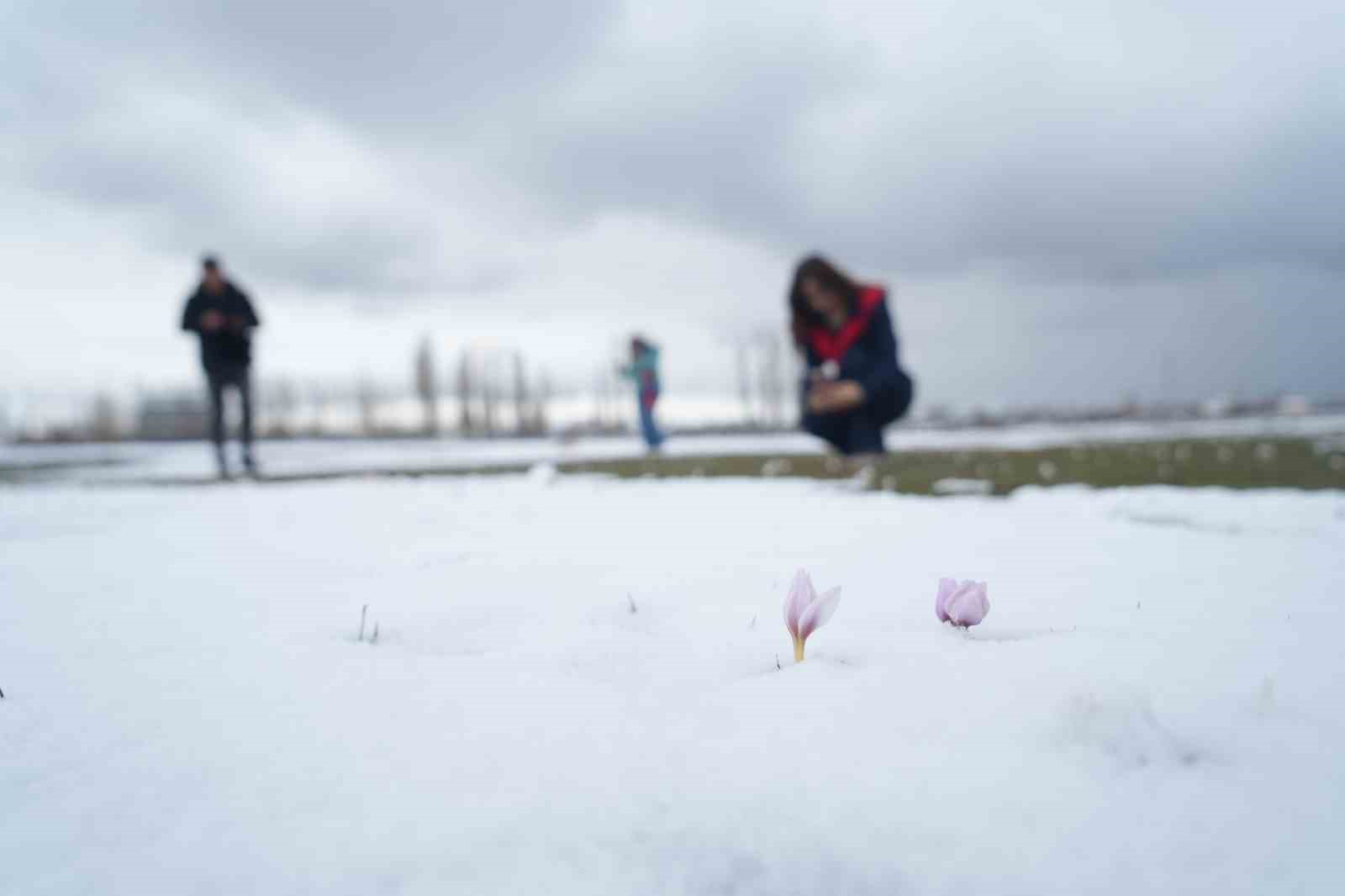 baharin habercisi cigdemler kar altinda kaldi 15 q4cDXhkO