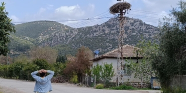 baharin-habercisi-leylek-yuvasina-bu-yil-da-esiyle-birlikte-geldi-n3KOiW9P.jpg