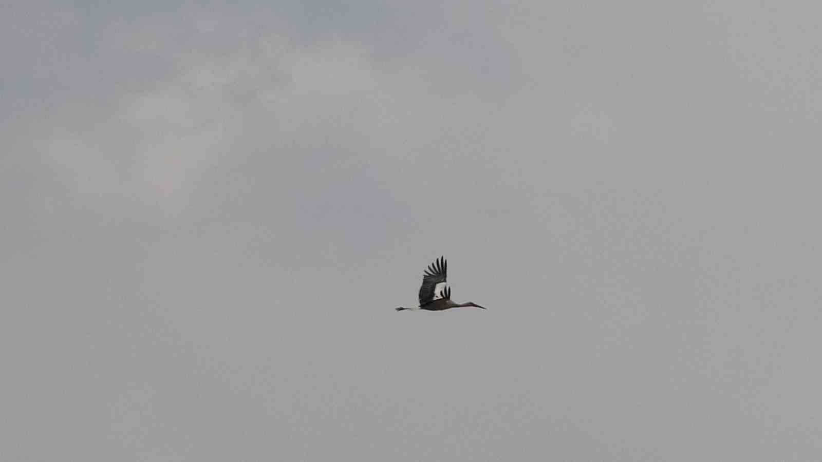 baharin mujdecileri asirlardir mesken tuttuklari koye dondu 2 mEGTaj5r