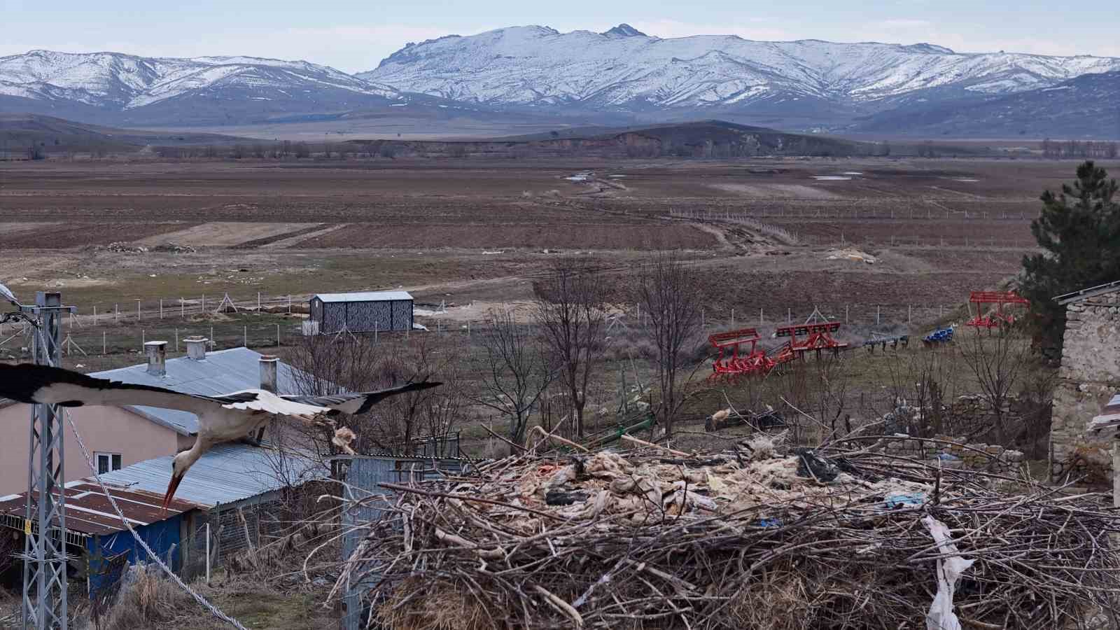 baharin mujdecileri asirlardir mesken tuttuklari koye dondu 5 RQk86CnL
