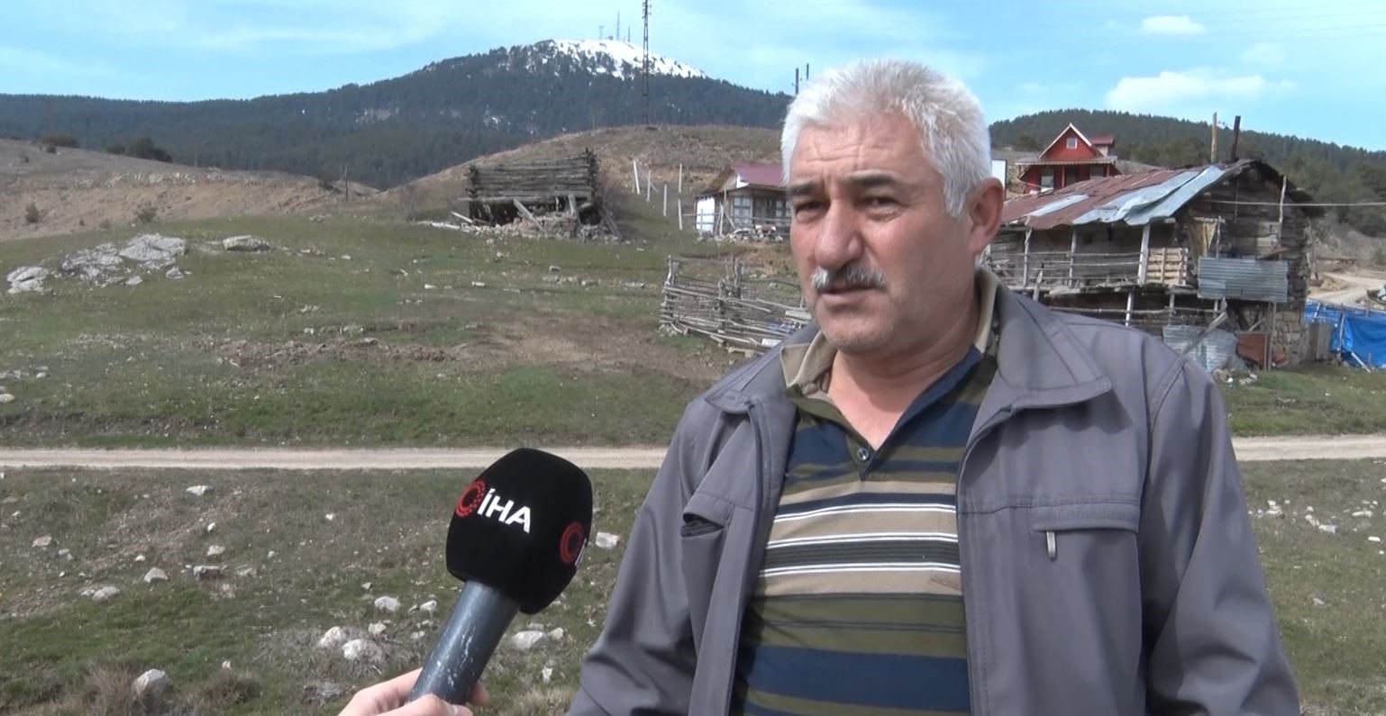 baharin mujdecisi cigdemler cicek acti 3 Fgsyhqa6
