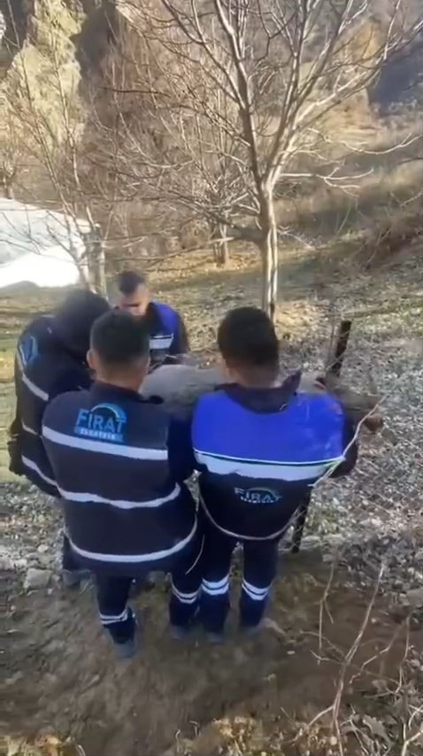 bahce citine sikisan yaban kecisini fedas ekipleri kurtardi 2 iXwu6uLn
