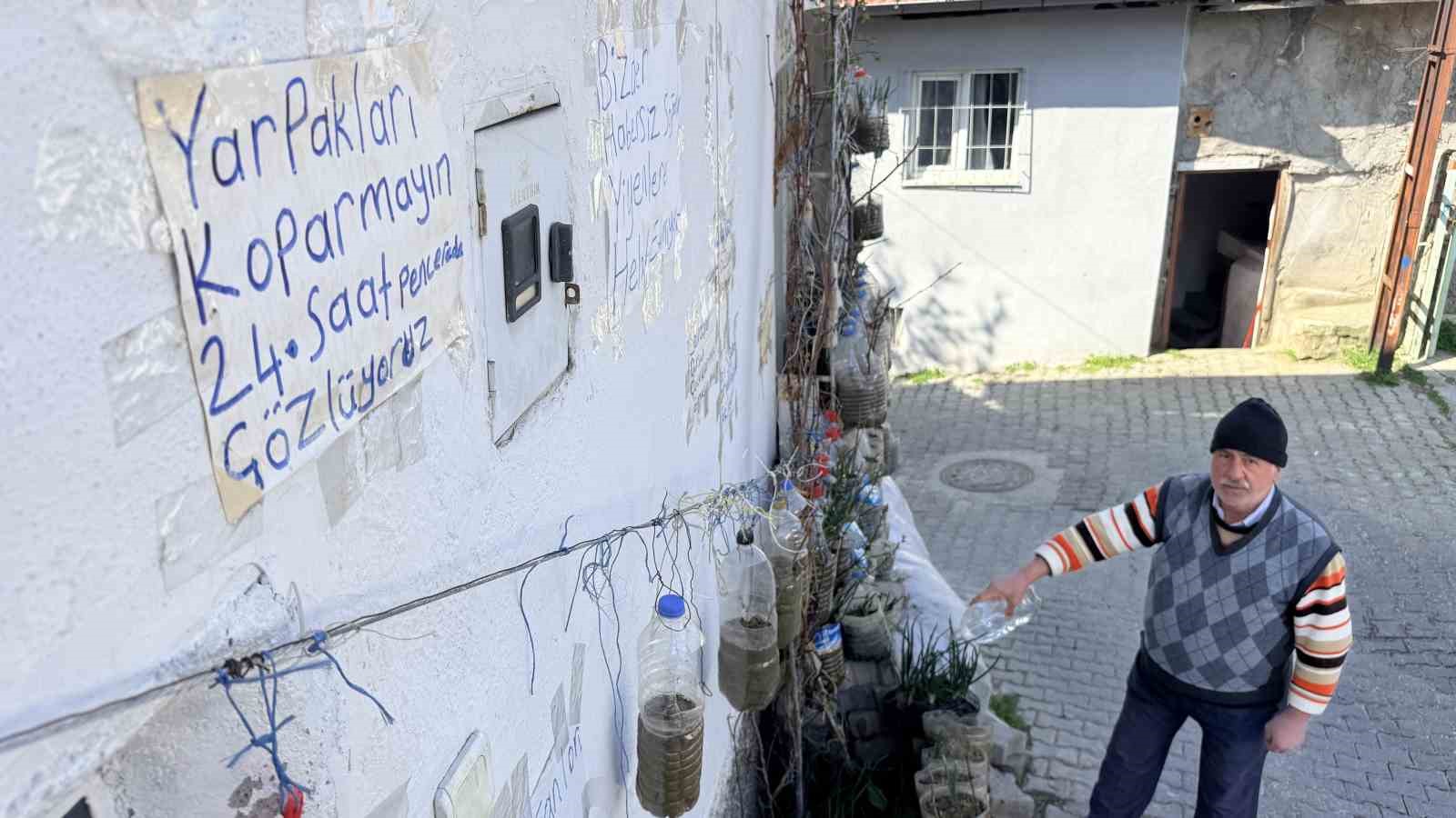 bahcede yetistiremeyince cozumu evinin duvarinda buldu 10 z7ZhIsAq