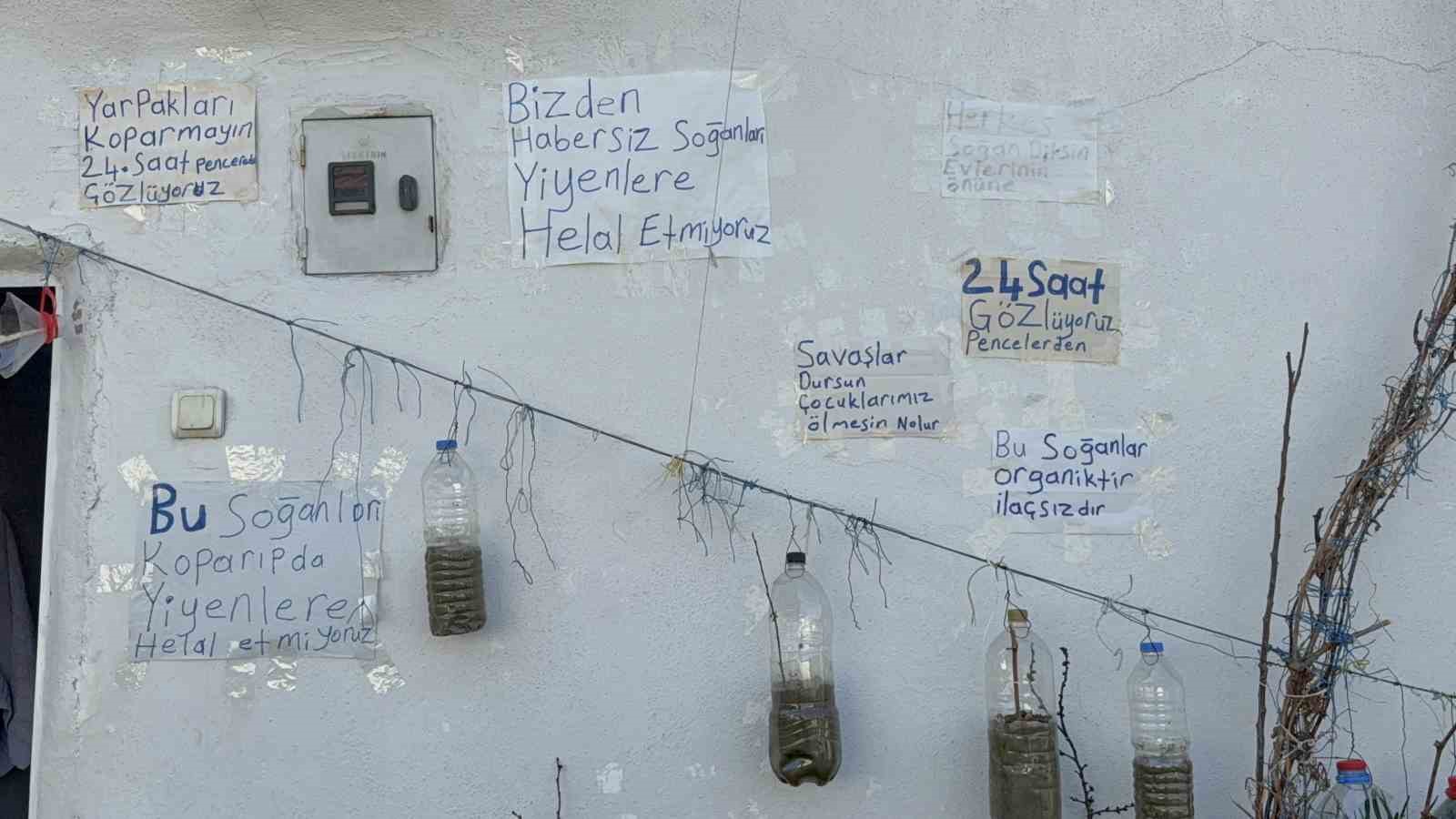 bahcede yetistiremeyince cozumu evinin duvarinda buldu 8