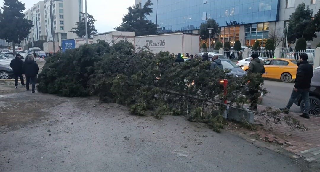 bahcelievlerde siddetli ruzgar nedeniyle agac devrildi 1 kisi altinda kaldi 0 d4vYhYYJ