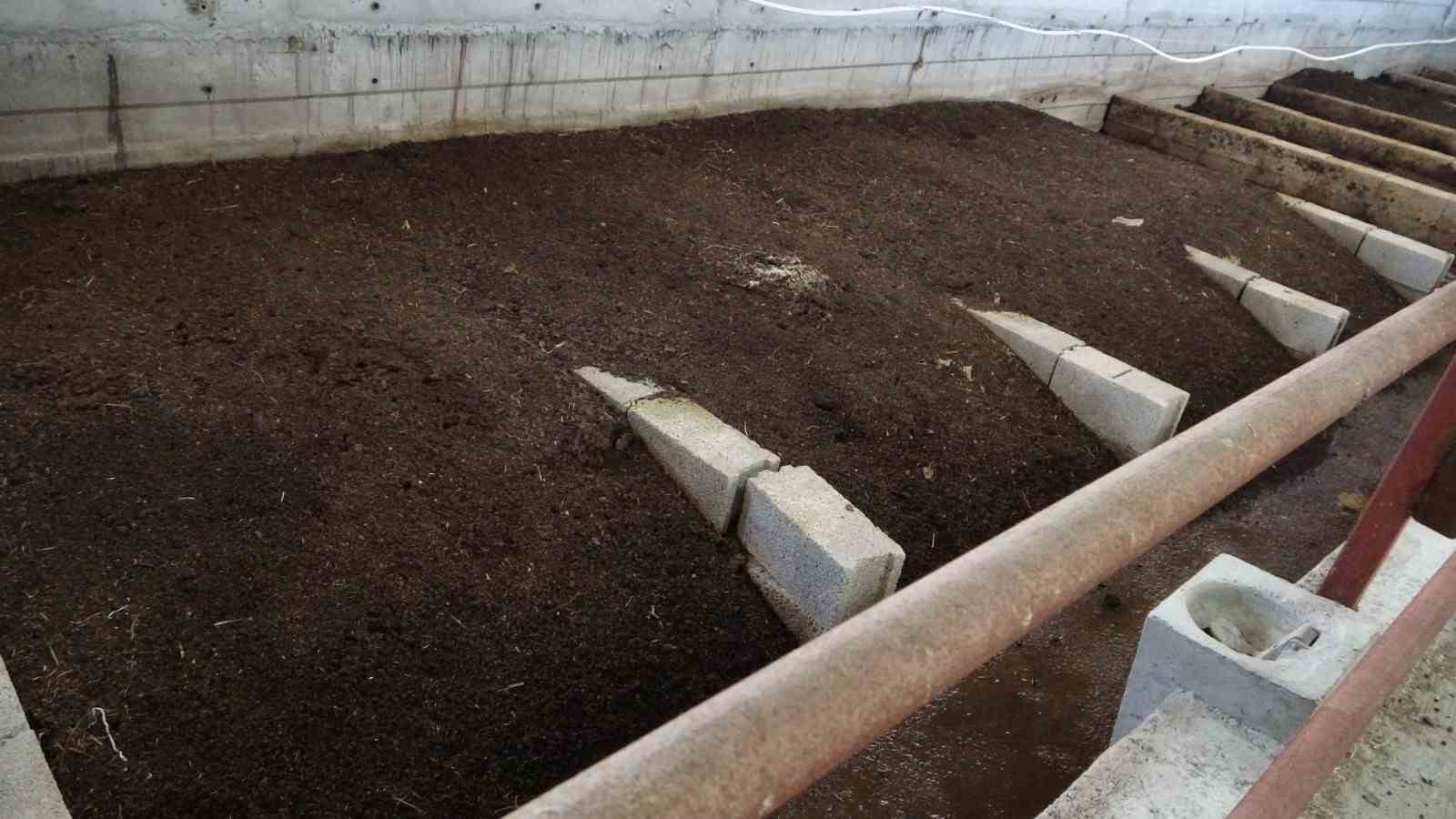 bahcesinde urettigi solucan gubresi gelir kaynagi oldu 2 39KkwPmz