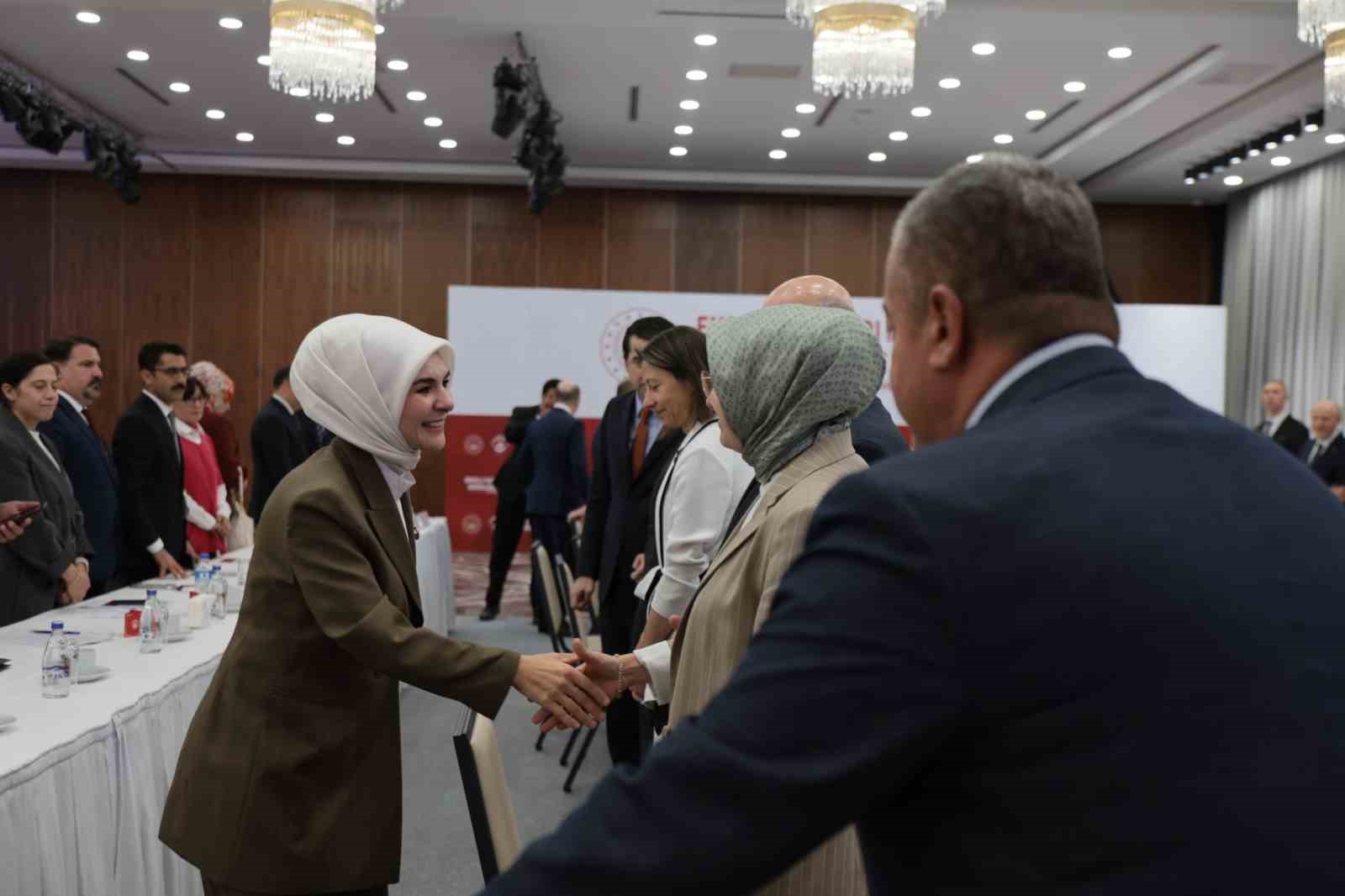 bakan goktas engelli haklari izleme ve degerlendirme kurulumuzun calismalarini surdurebilmesi icin iki alt calisma rWYWQQuk