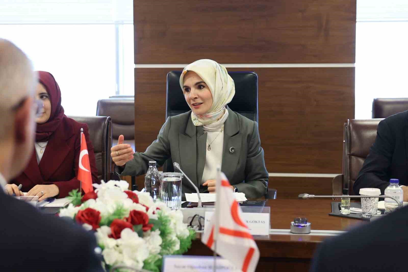 Bakan Göktaş, KKTC Çalışma ve Sosyal Güvenlik Bakanı Hasipoğlu ile bir araya geldi 7 bakan goktas kktc calisma ve sosyal guvenlik bakani hasipoglu ile bir araya geldi 3 G5NvOabT