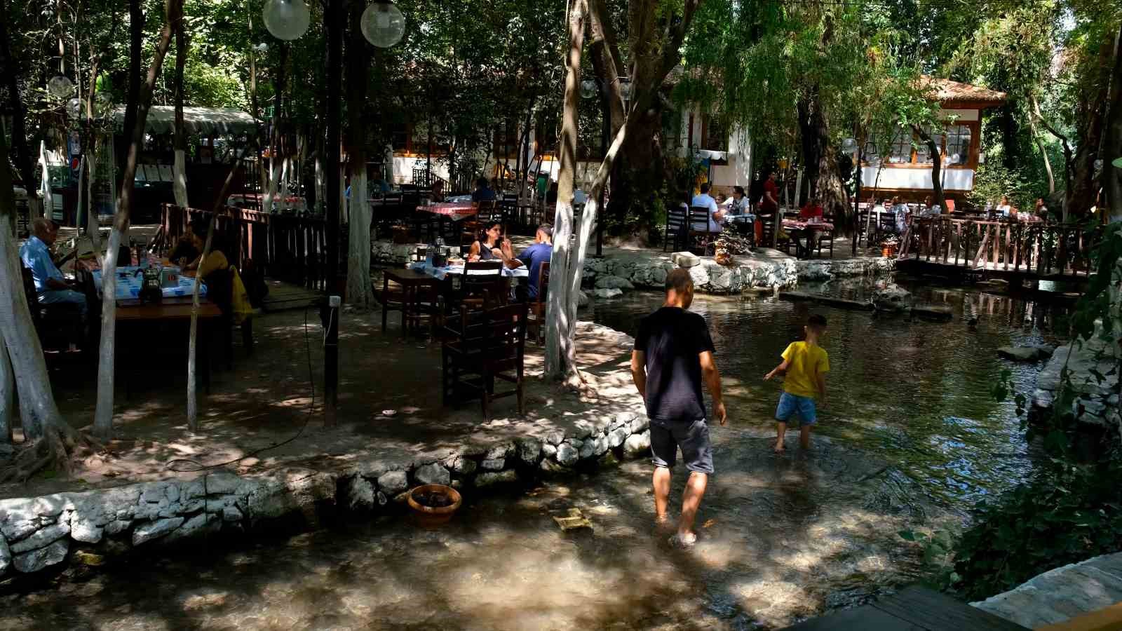 bakan kurum koruma altina alinan anit agacin hikayesini paylasti 2 ShuWdhL6
