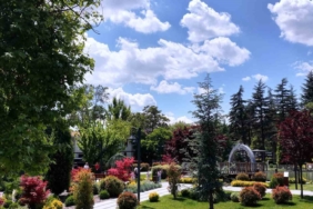 Yüksekova’da heyelan: Mezra yolu ulaşıma kapandı 1 thumbnail