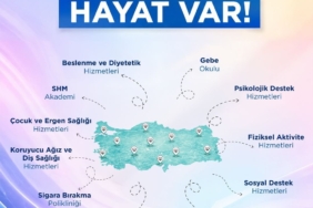 Şırnak’ta anne hastaneye yetişemedi, sağlık ekibi bebeği ambulansta doğurttu 1 thumbnail