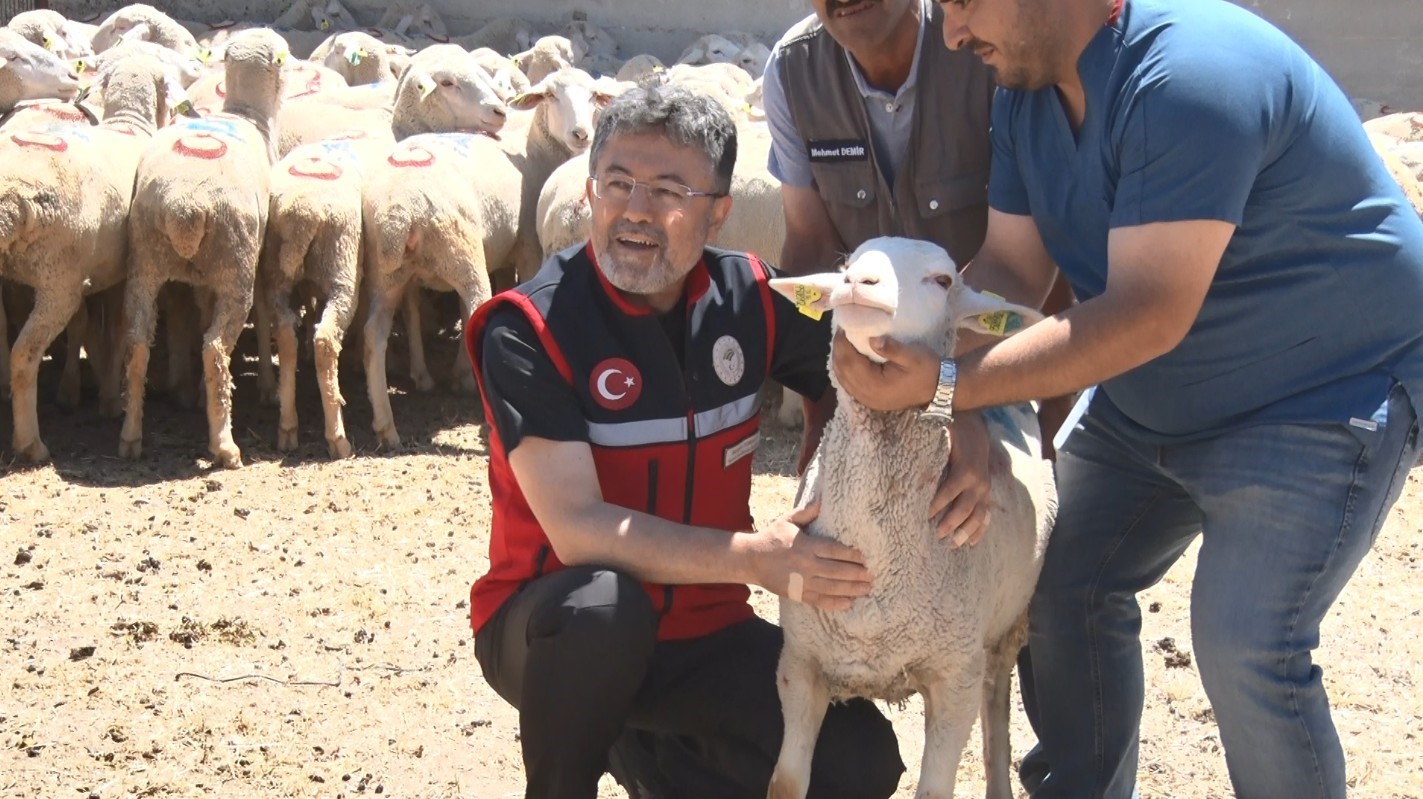 bakan yumakli bin 600 ureticimize toplam 160 bin kucukbas hayvani teslim edecegiz 1 ygLTqXal